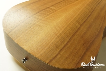 BT1 Walnut